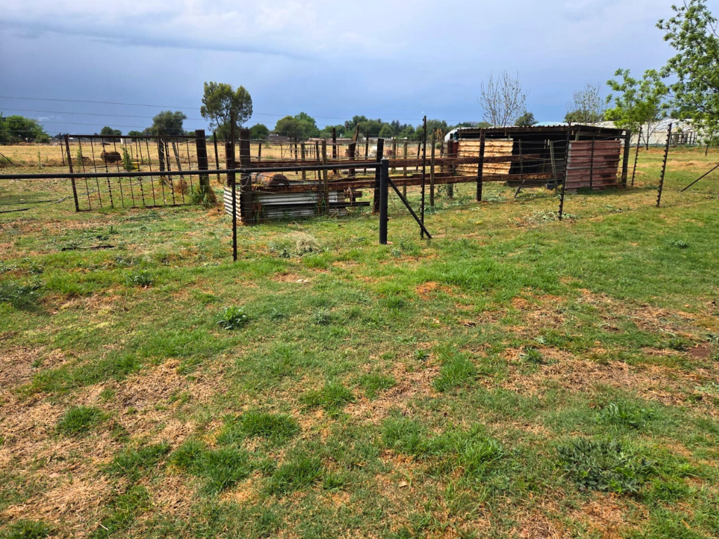 2ha Plot with Modern 3-Bedroom Home in Eloff - image 5