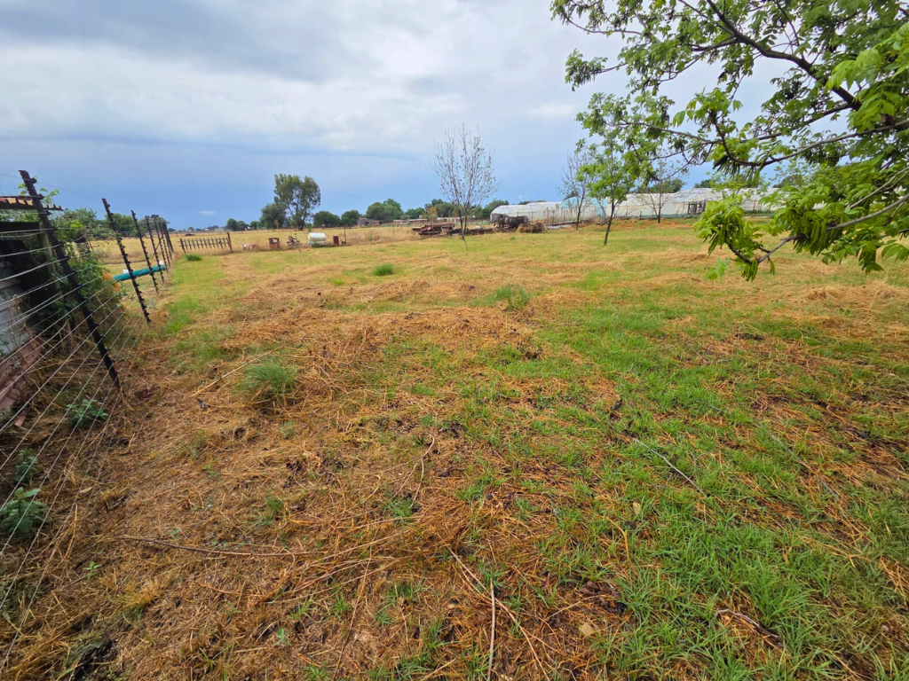 2ha Plot with Modern 3-Bedroom Home in Eloff - image 8