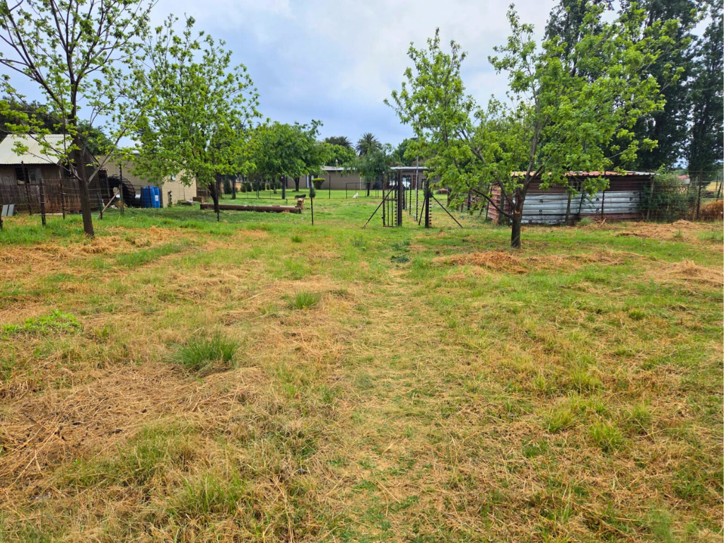 2ha Plot with Modern 3-Bedroom Home in Eloff - image 11