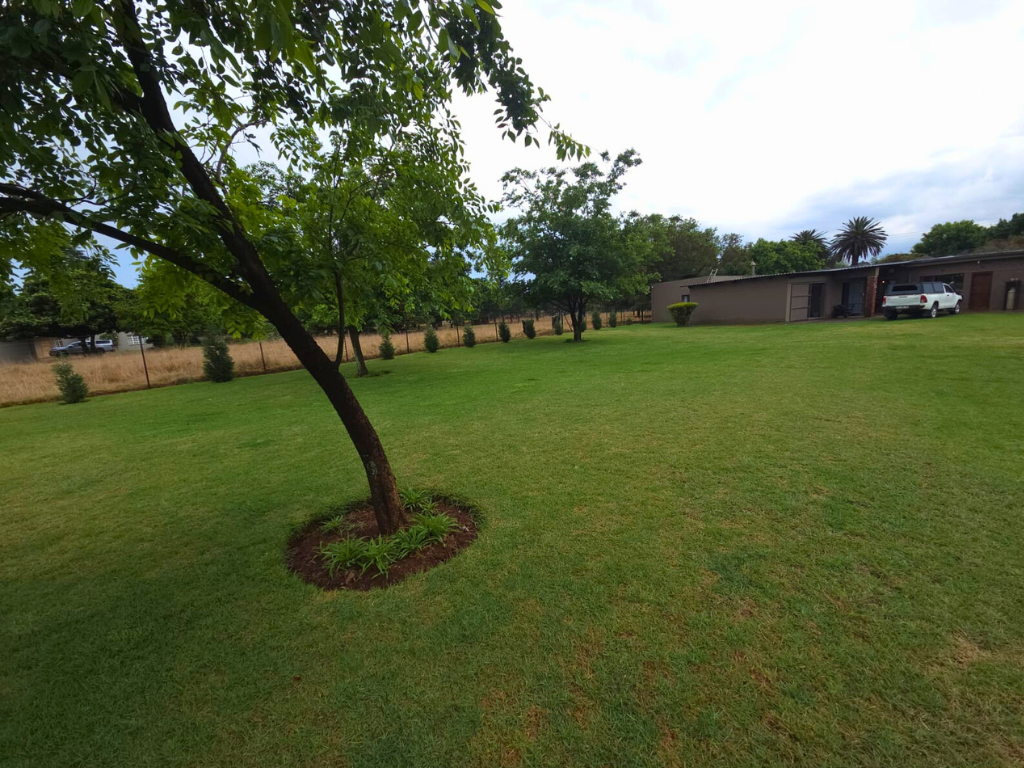 2ha Plot with Modern 3-Bedroom Home in Eloff - image 13