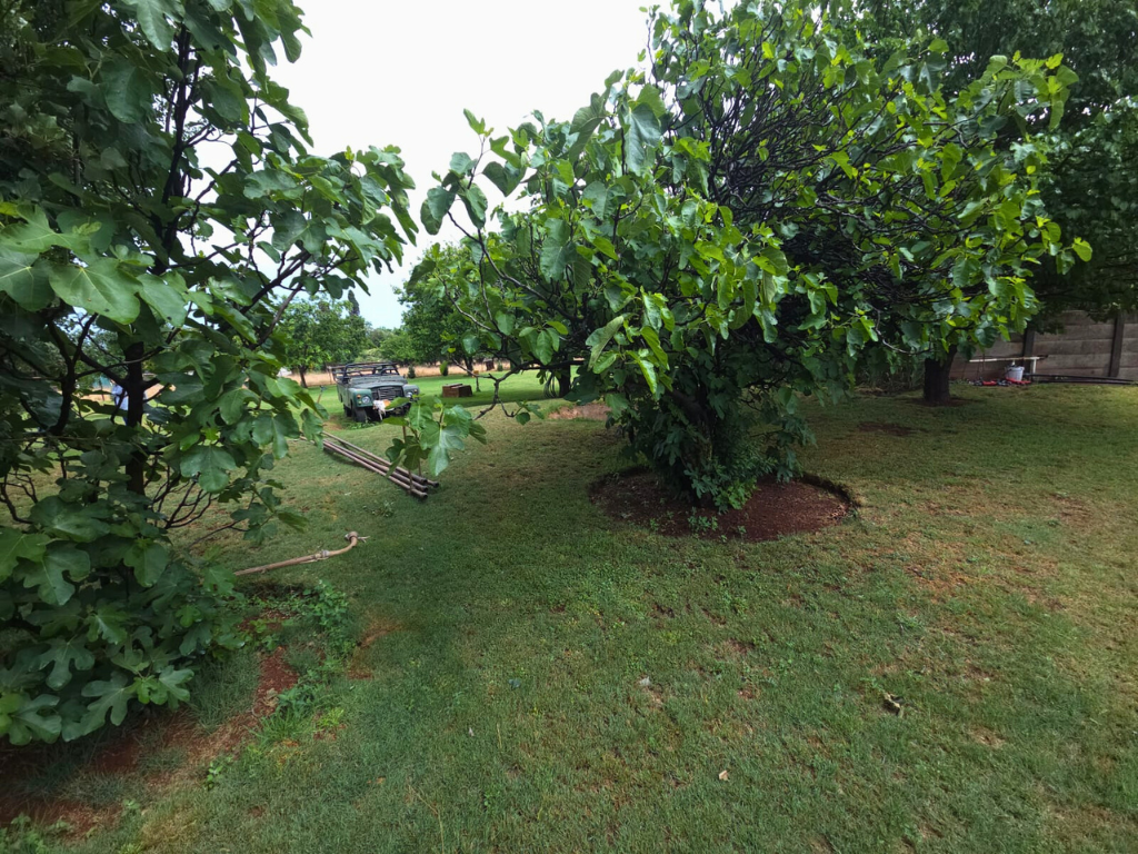 2ha Plot with Modern 3-Bedroom Home in Eloff - image 20