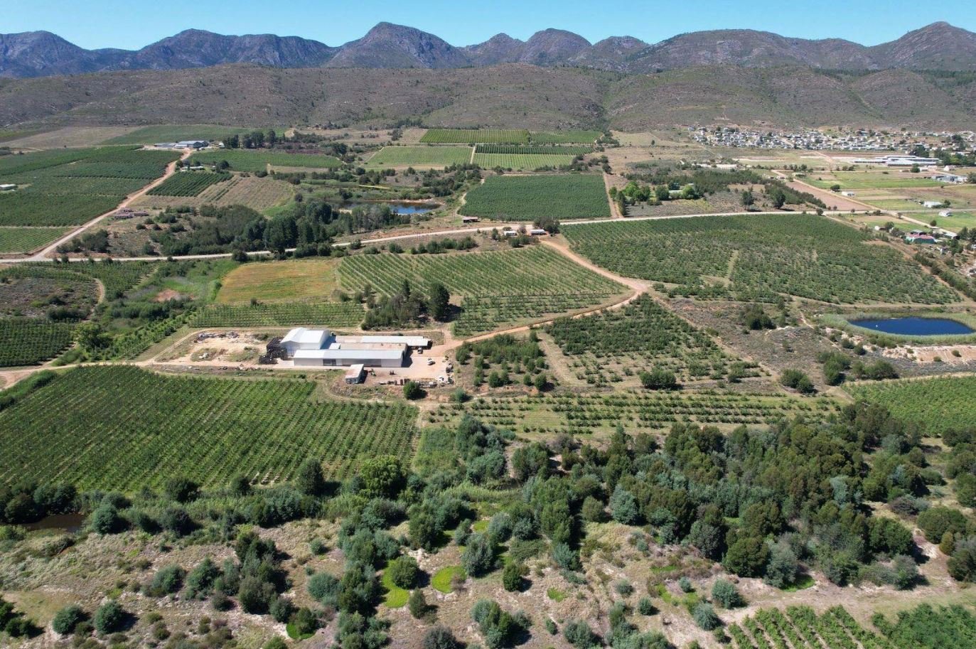 1,840Ha Export Fruit Farm for Sale Near Uniondale, Western Cape - Apples, Pears & Water Security image 3