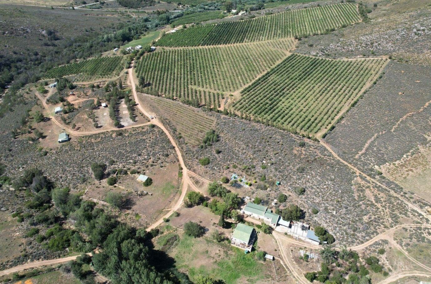 1,840Ha Export Fruit Farm for Sale Near Uniondale, Western Cape - Apples, Pears & Water Security image 6