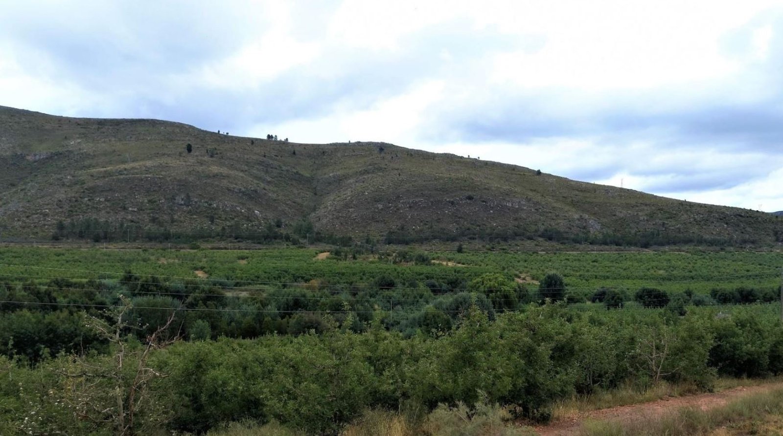 1,840Ha Export Fruit Farm for Sale Near Uniondale, Western Cape - Apples, Pears & Water Security image 10