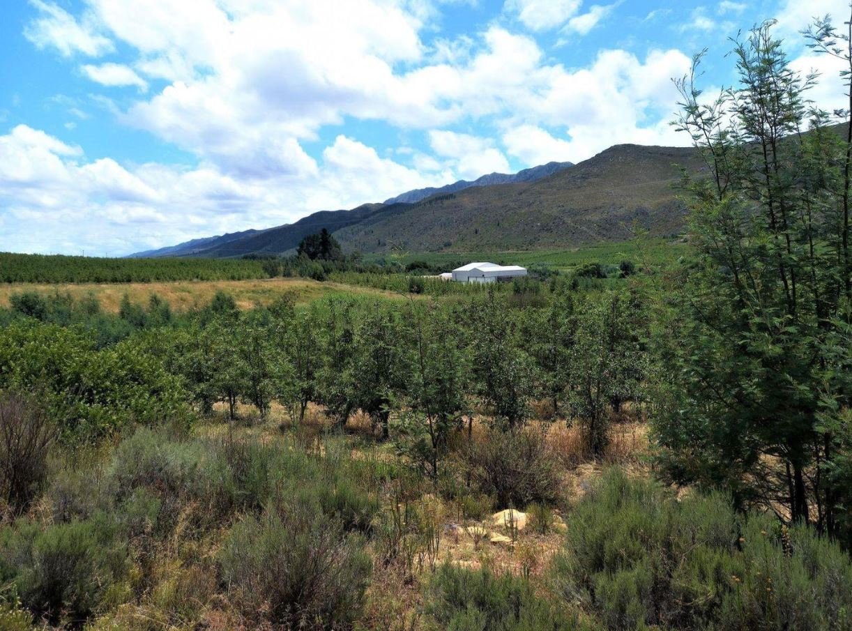 1,840Ha Export Fruit Farm for Sale Near Uniondale, Western Cape - Apples, Pears & Water Security image 11