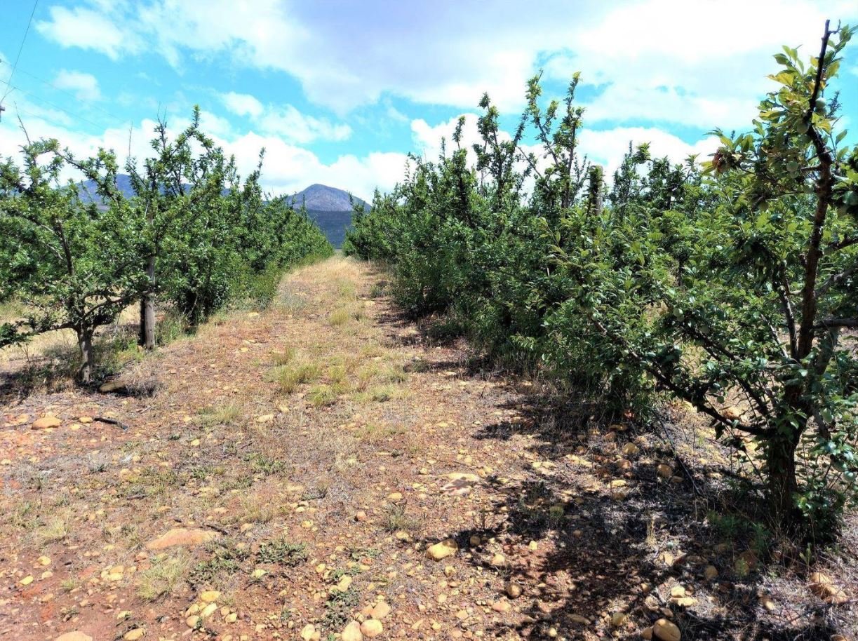 1,840Ha Export Fruit Farm for Sale Near Uniondale, Western Cape - Apples, Pears & Water Security image 12