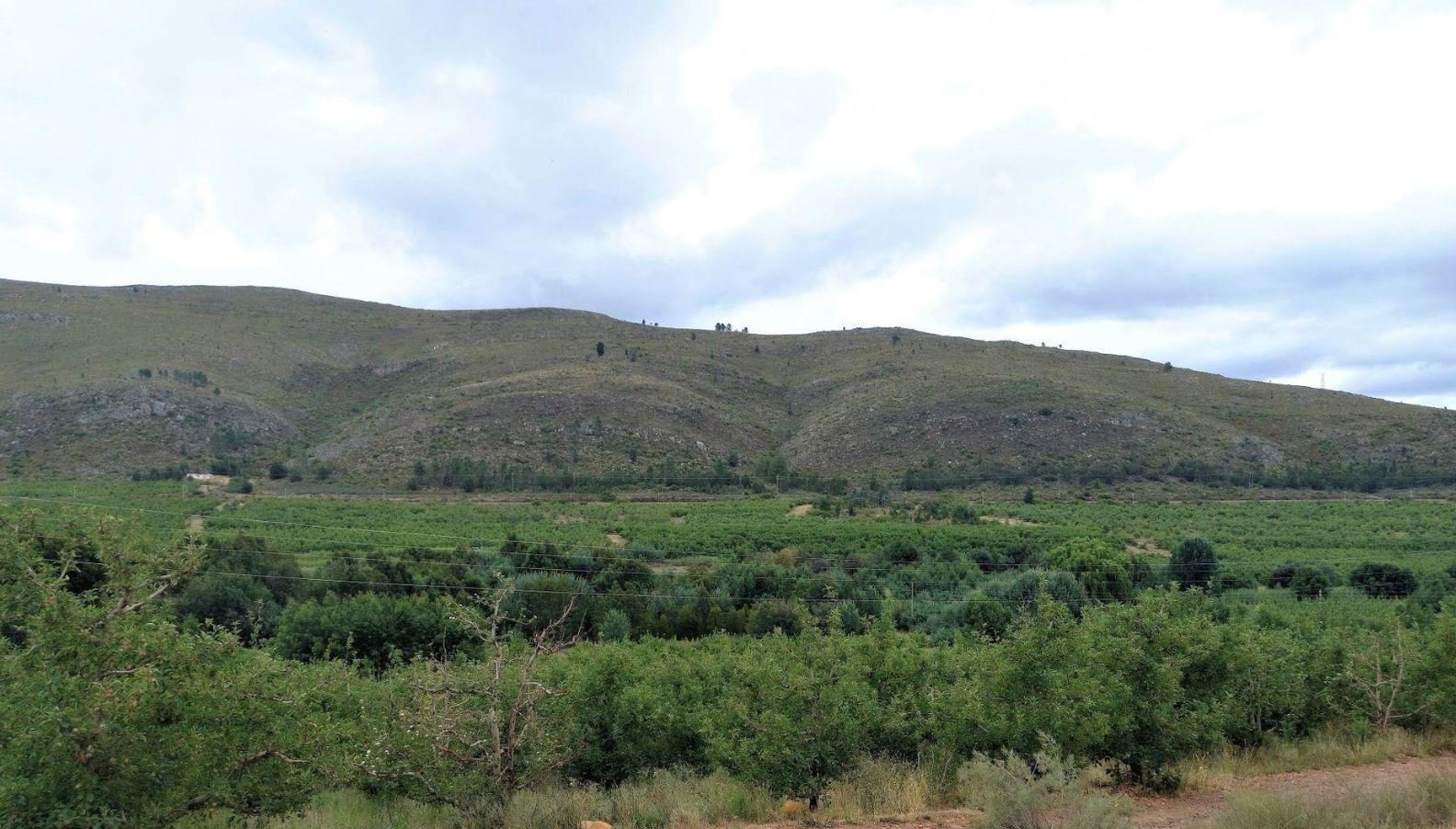 1,840Ha Export Fruit Farm for Sale Near Uniondale, Western Cape - Apples, Pears & Water Security image 13