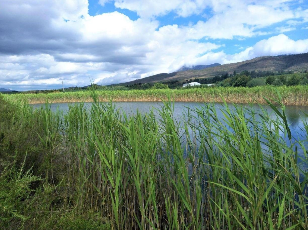 1,840Ha Export Fruit Farm for Sale Near Uniondale, Western Cape - Apples, Pears & Water Security image 15