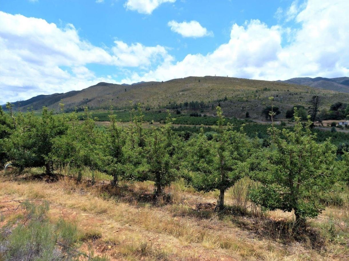 1,840Ha Export Fruit Farm for Sale Near Uniondale, Western Cape - Apples, Pears & Water Security image 17