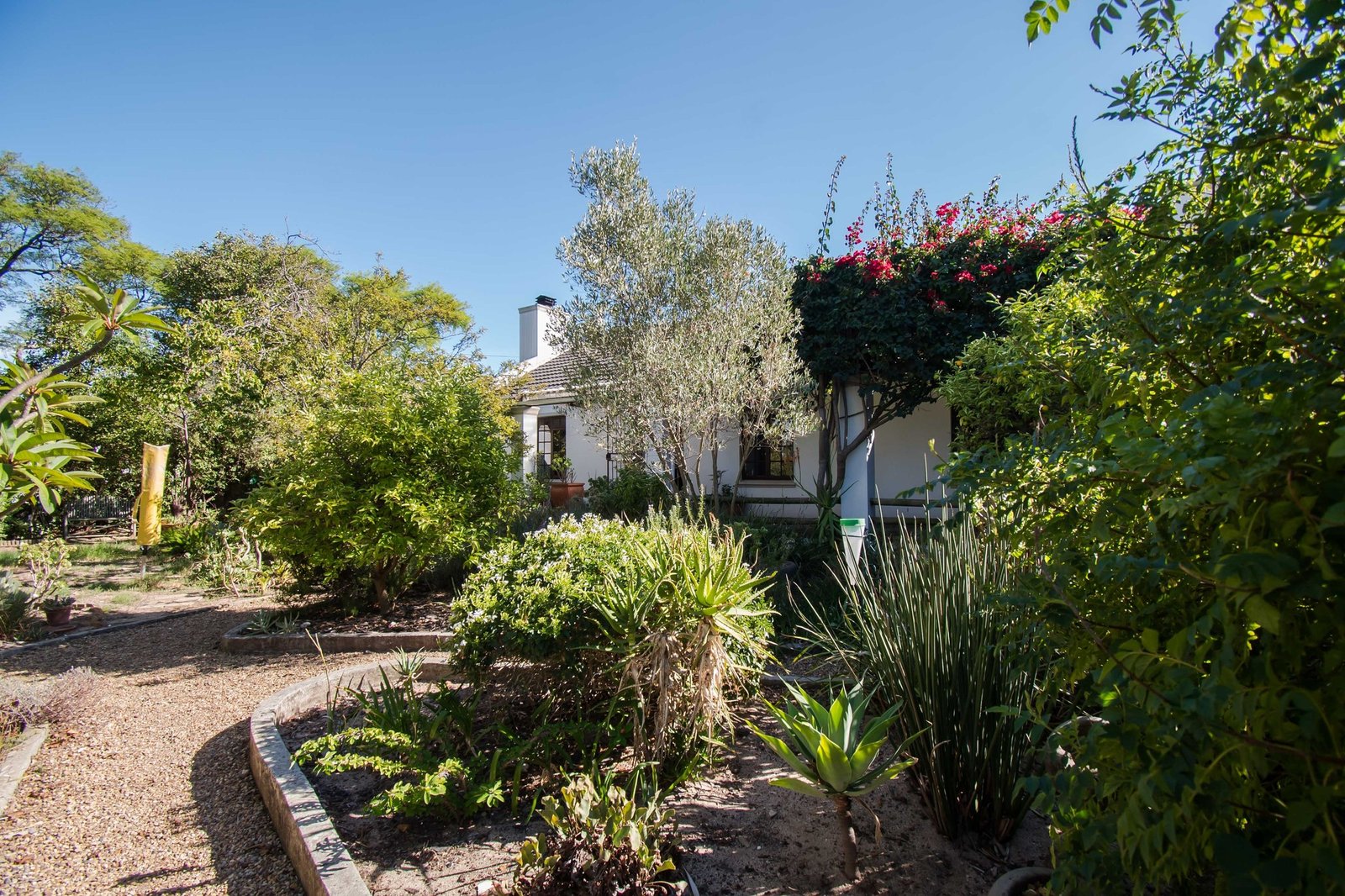 3 Bedroom Cape Cottage for Sale in Somerset West - Granny Flat, Garden & Walk to Somerset House image 16