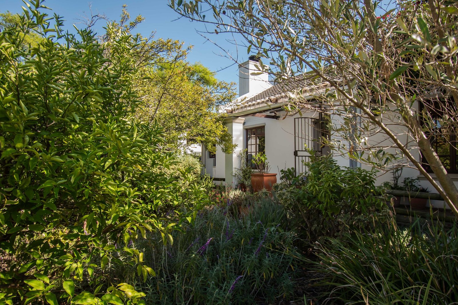 3 Bedroom Cape Cottage for Sale in Somerset West - Granny Flat, Garden & Walk to Somerset House image 19